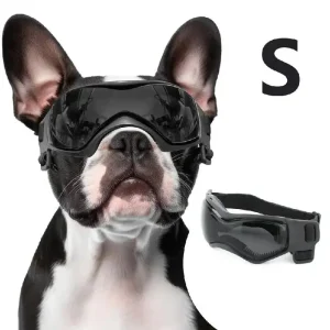Dog Sunglasses