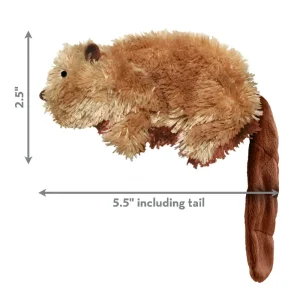 Dog Toy with Squeakers
