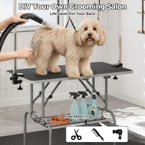 Professional Foldable Dog Grooming Table