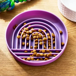 Slow Feeder Bowl